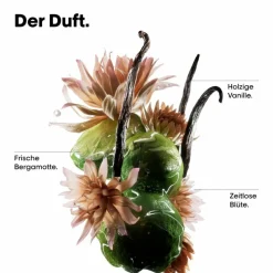 Serie Expert Absolut Repair Molecular  Discovery Trio