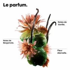 Serie Expert Absolut Repair Molecular  Professional Bi-Phase Oil