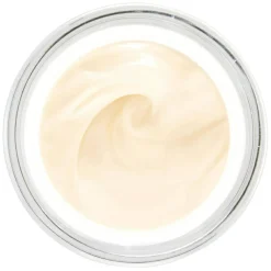 Sisleÿa   L'Intégral Anti-Âge 50 ml