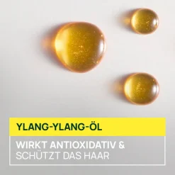 Sublime Karité   Bändigende Pflege-Milch für professionelles Styling 100 ml