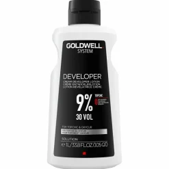System Developer