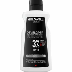 System Developer