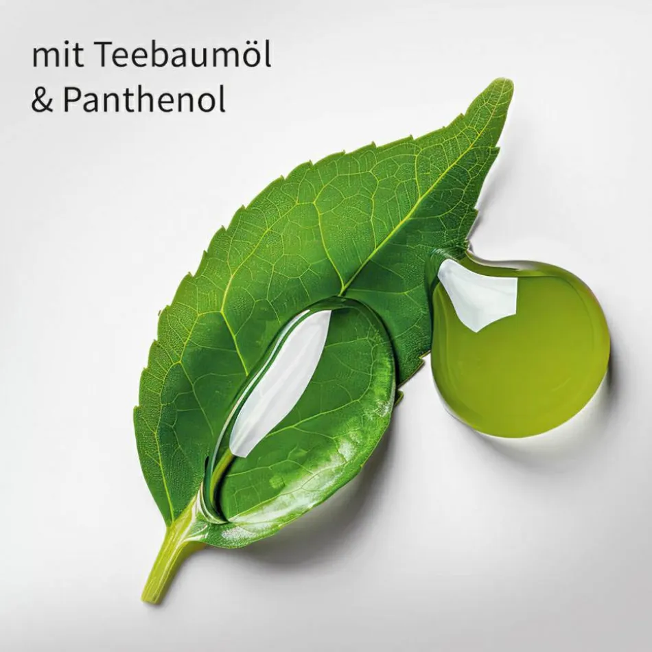 Teebaumöl Hair & Scalp Balance Set