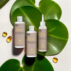 Teebaumöl Hair & Scalp Balance Set