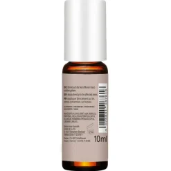 Teebaumöl   Pickelroller 10 ml