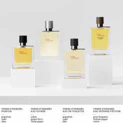 Terre d’Hermès   Eau de Toilette