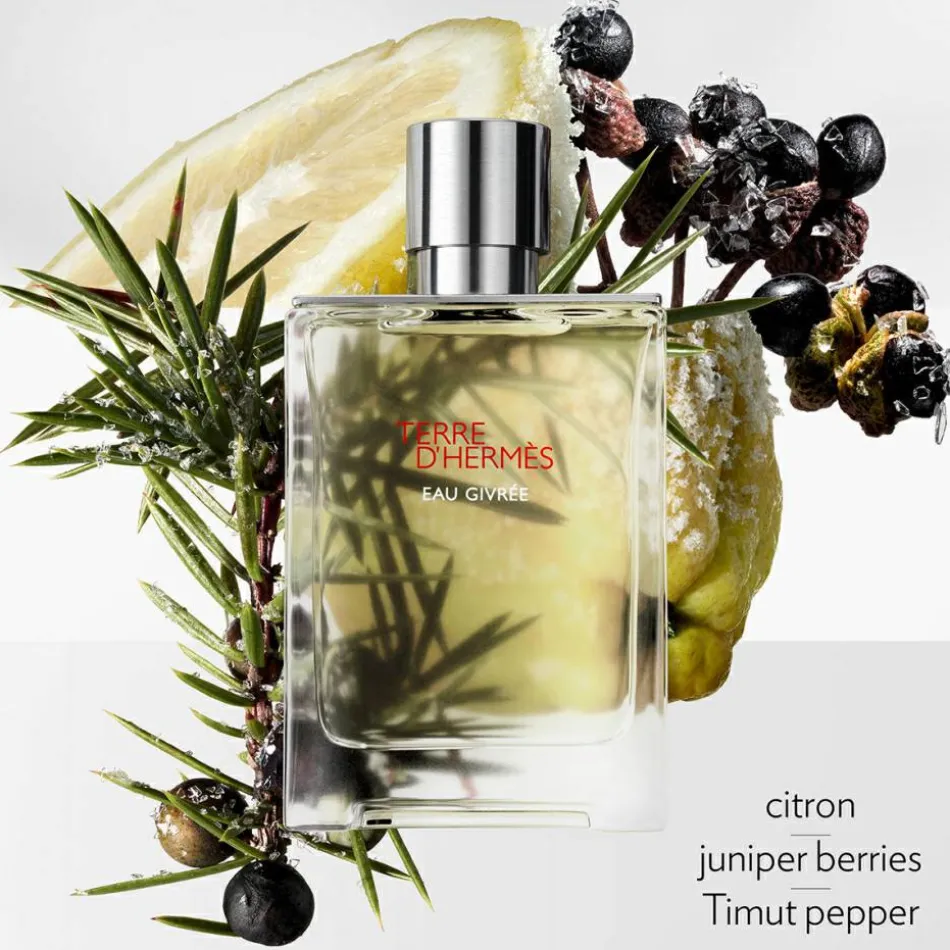 Terre d’Hermès Eau Givrée Eau de Parfum 175 ml