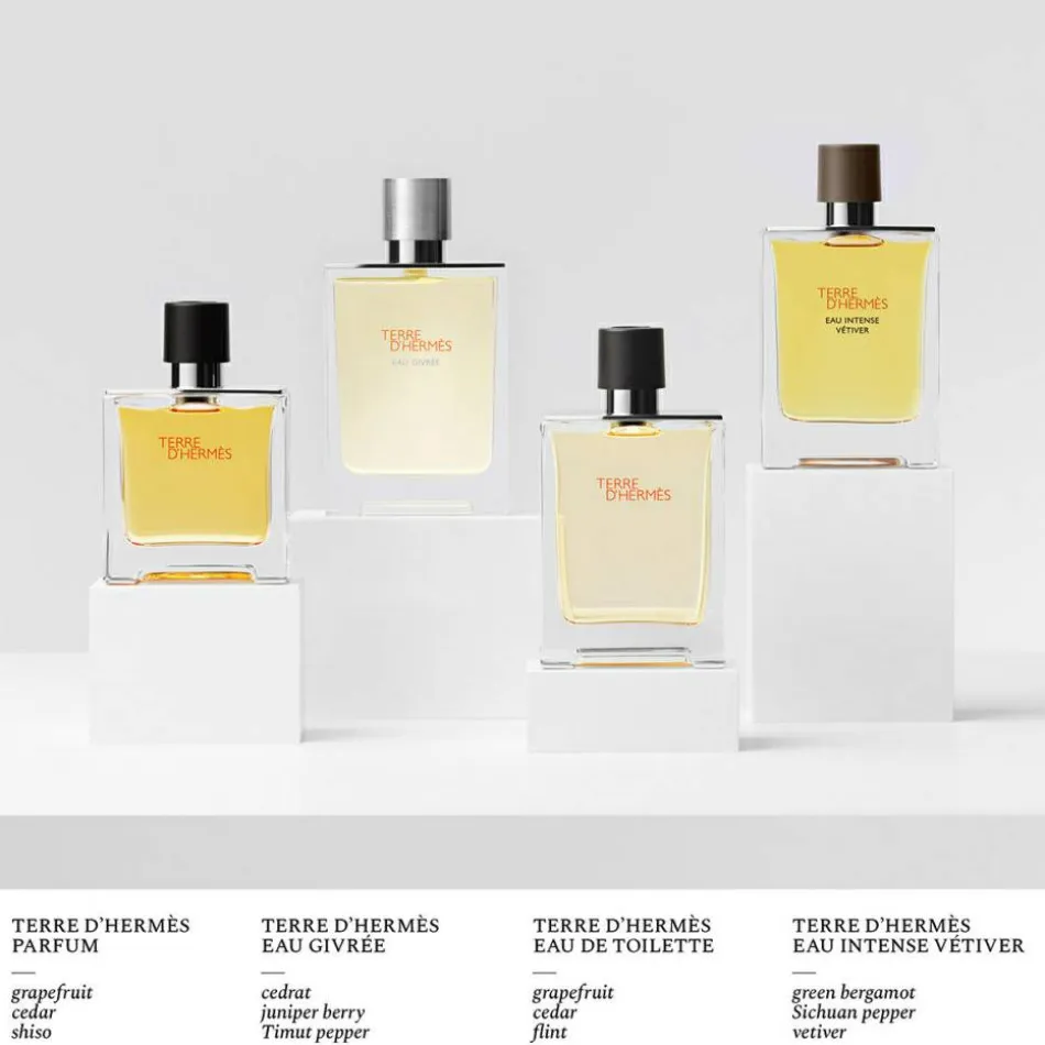 Terre d’Hermès Eau Givrée Eau de Parfum Refill 200 ml