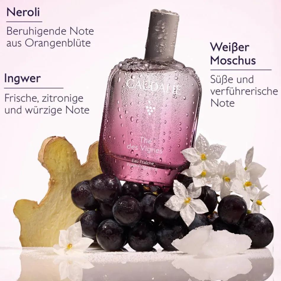 Thé des Vignes Eau Fraîche