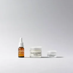 The Bestsellers Discovery Collection