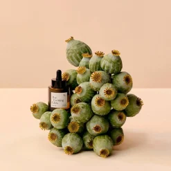 The Evening Glow  30 ml