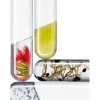 THE EXCEPTIONAL   Eye Lift Concentrate Refill 12 Sachet