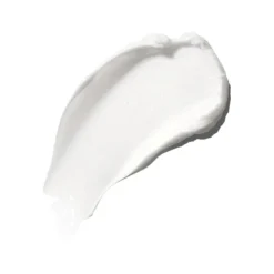 The Moisturizing Cream