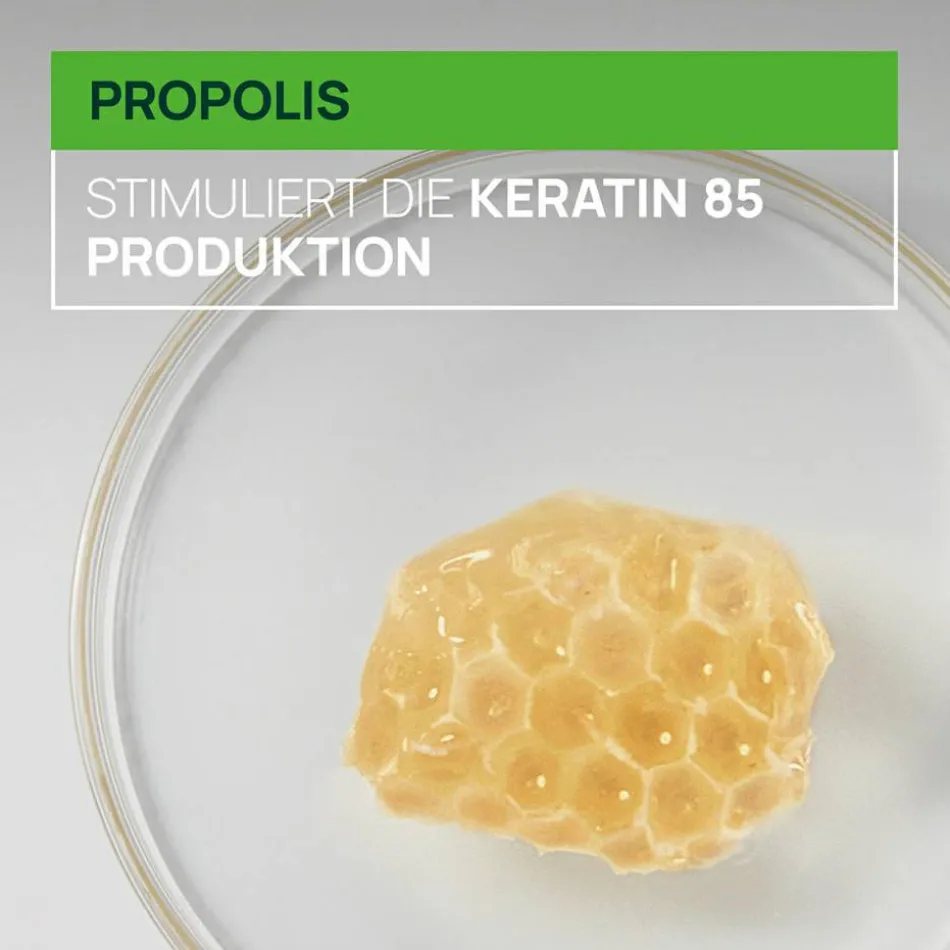Triphasic Reactional Kur bei temporärem Haarausfall 12 x 5 ml