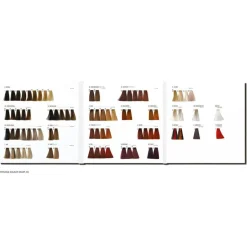 Virtuous Colour Farbkarte