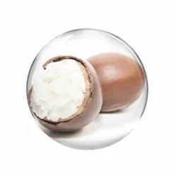 Vitality   Regenera I Rich 50 ml