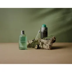 Wild Mint & Lavandin Bath & Shower Gel 300 ml